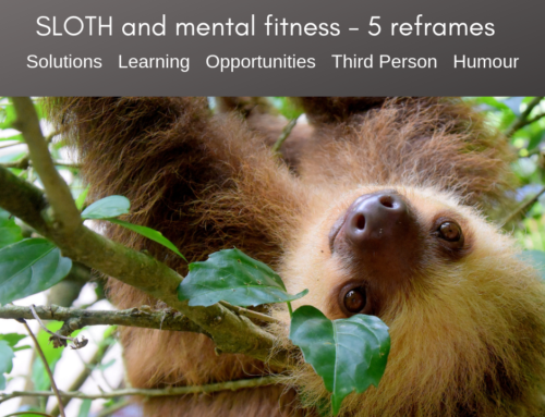 How to use a SLOTH to build your resilience and mental fitness